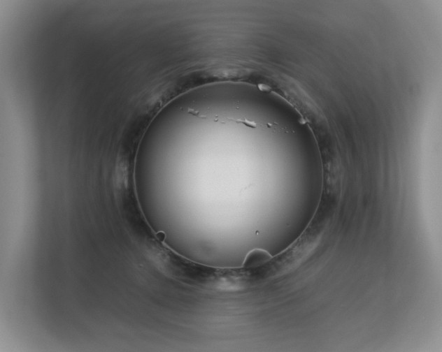 X0000112750368200908201422