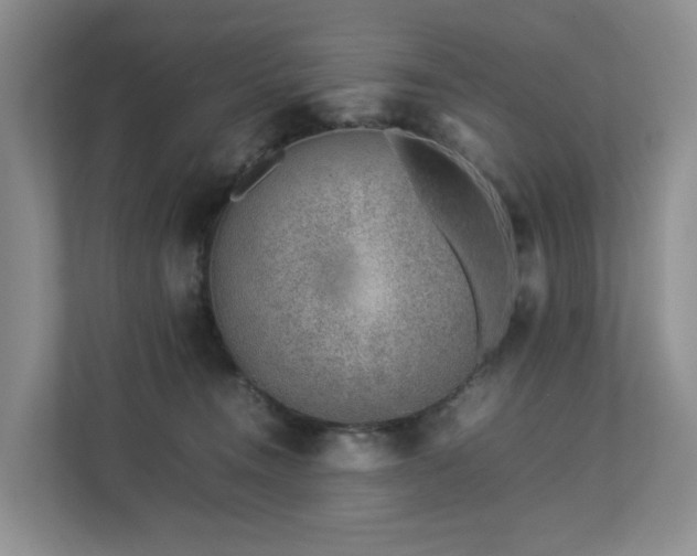 X0000112750372200908201422