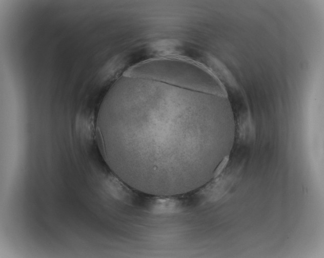 X0000112750376200908201423