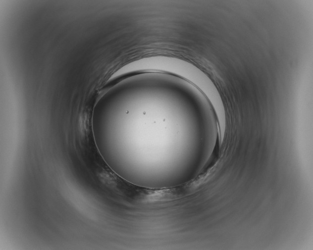 X0000112750382200908201423