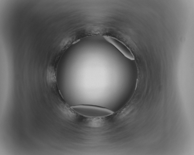 X0000112750384200908201423