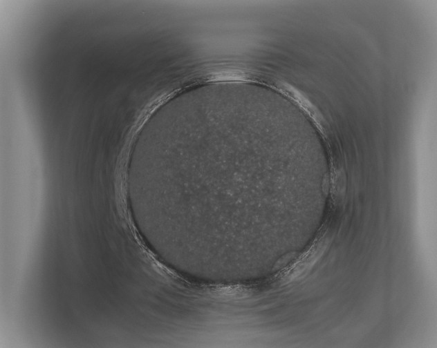 X0000112750385200908201422