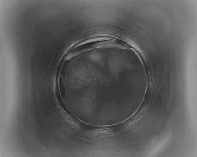 X0000112750386200908201422