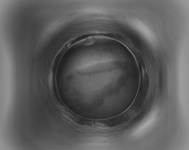 X0000112750387200908201422