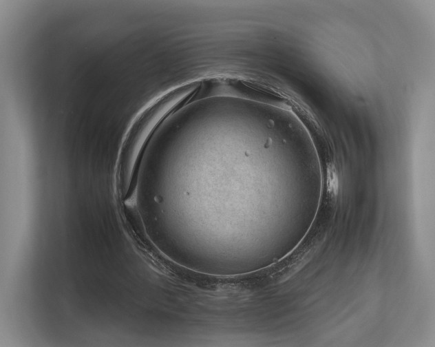 X0000112750388200908201422