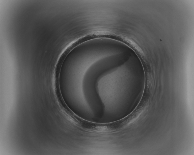 X0000112750391200908201422