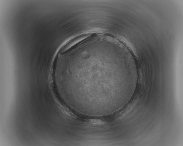 X0000112750392200908201422