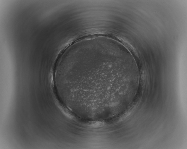 X0000112750398200908201422