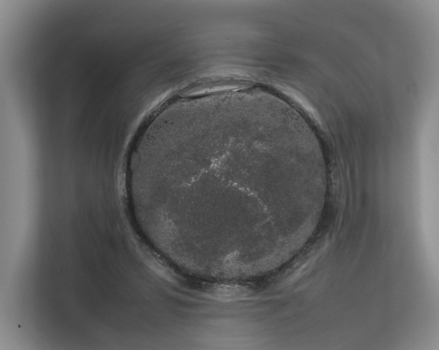 X0000112750399200908201422