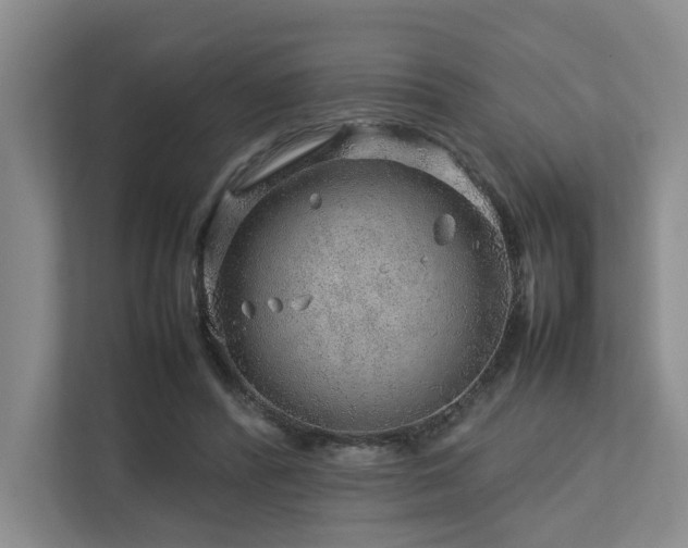 X0000112750400200908201422