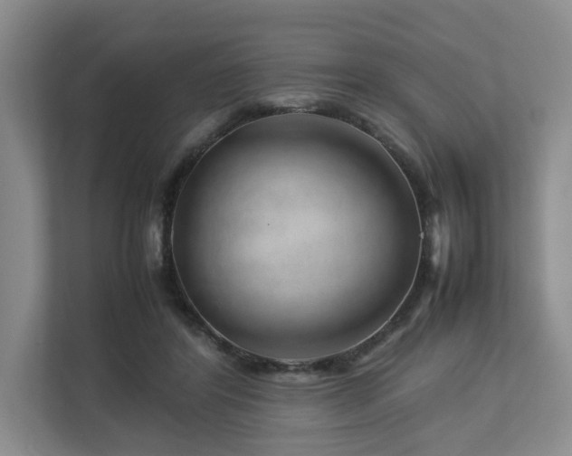 X0000112750404200908201422