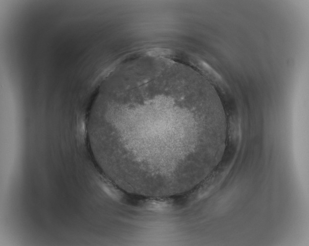 X0000112750405200908201422