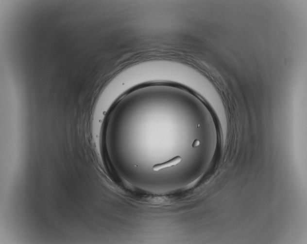 X0000112750409200908201422