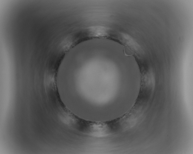 X0000112750415200908201422