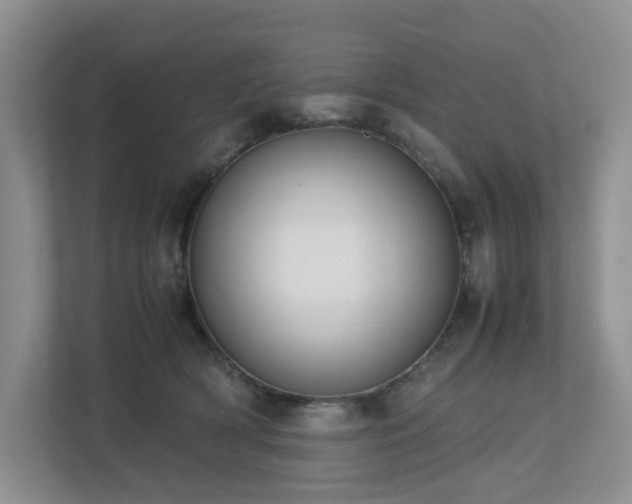 X0000112750418200908201422