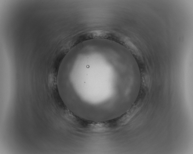 X0000112750419200908201422