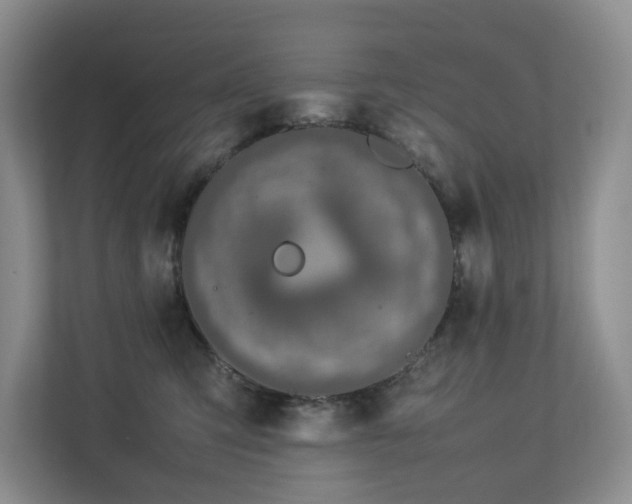 X0000112750423200908201422