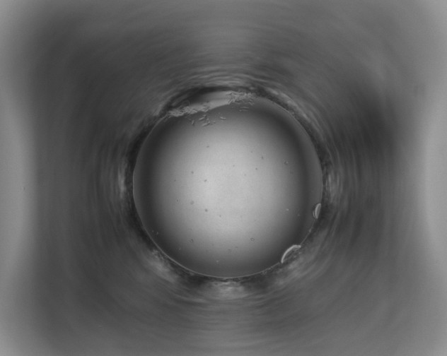 X0000112750424200908201422