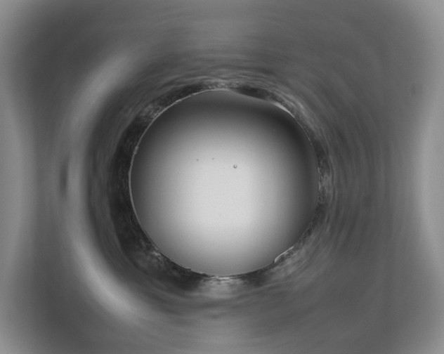 X0000112750429200908201421