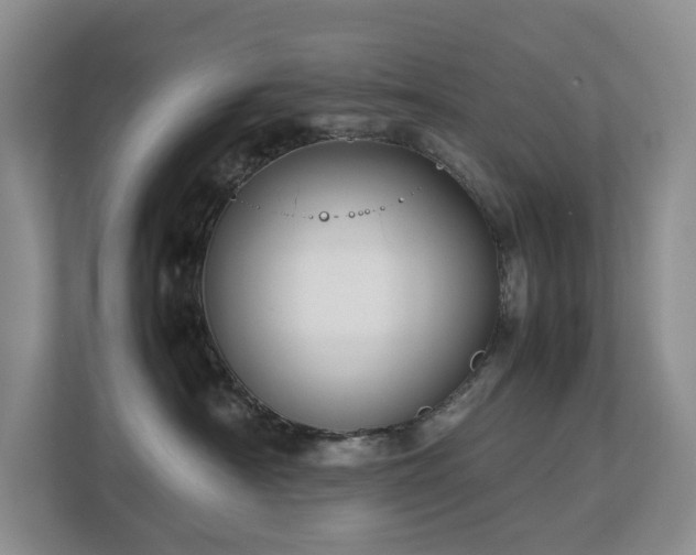 X0000112750430200908201421