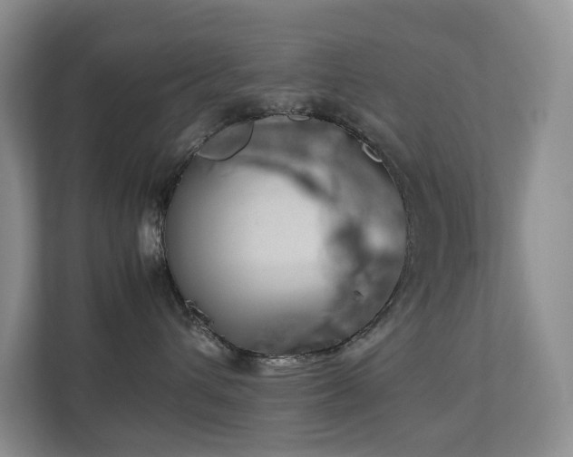 X0000112750432200908201421