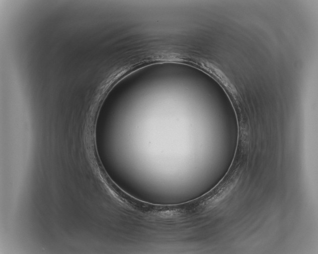 X0000112750433200908201421