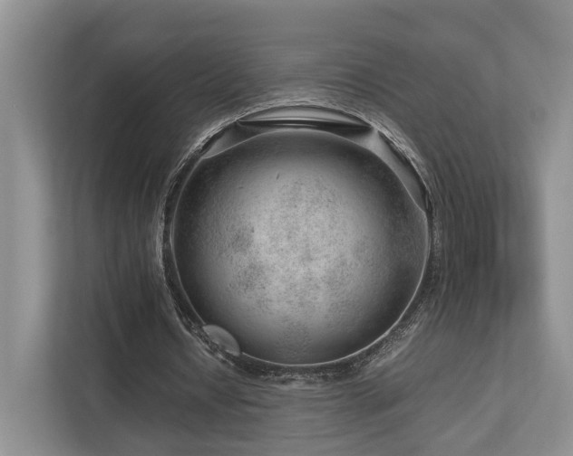 X0000112750434200908201421