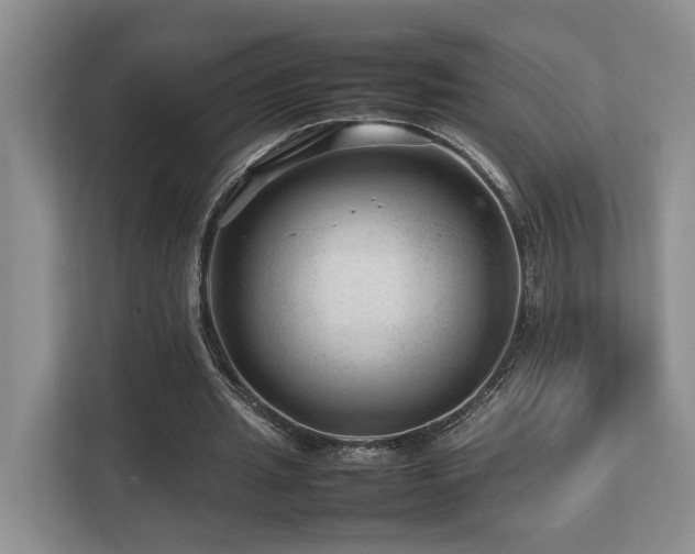 X0000112750437200908201421