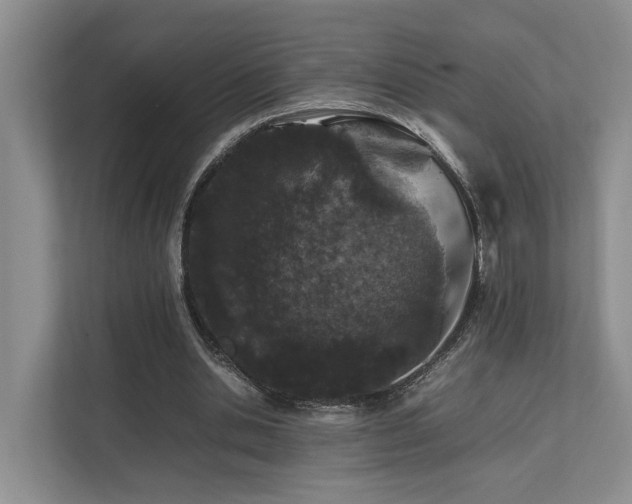 X0000112750438200908201421