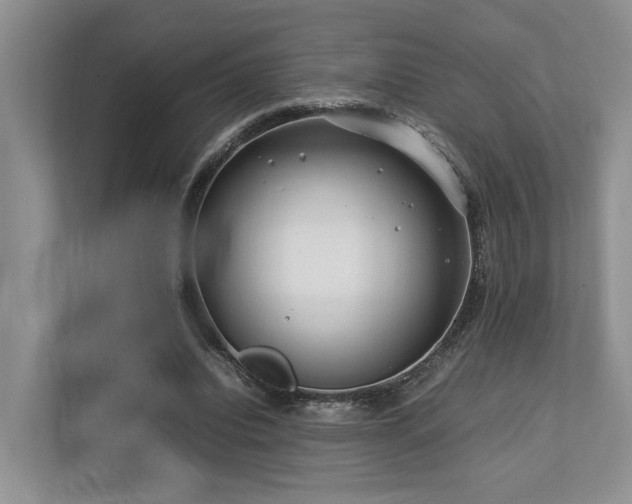 X0000112750440200908201421