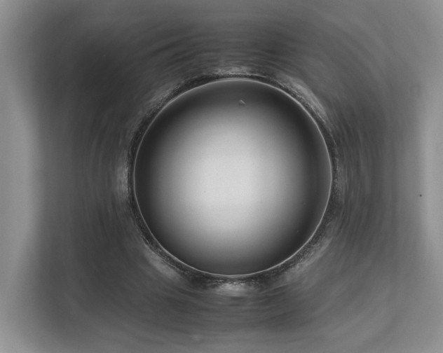 X0000112750441200908201421