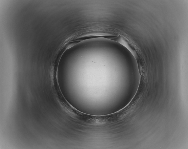 X0000112750442200908201421