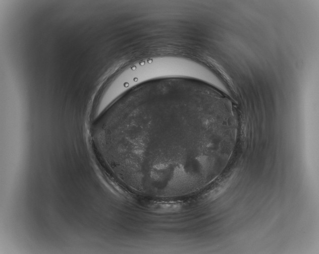 X0000112750443200908201421