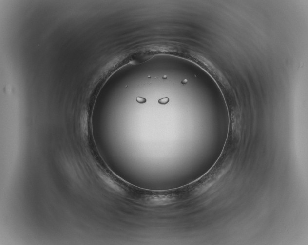 X0000112750445200908201421