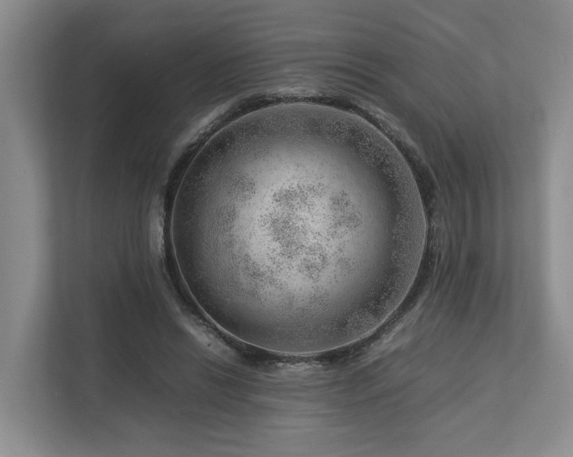 X0000112750446200908201421