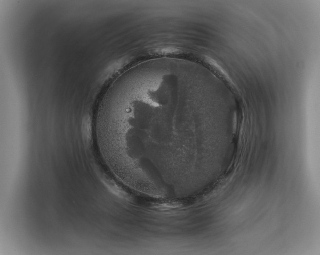 X0000112750447200908201421