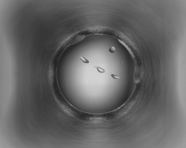 X0000112750448200908201421