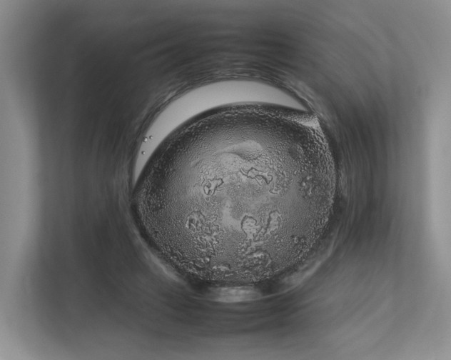 X0000112750449200908201421