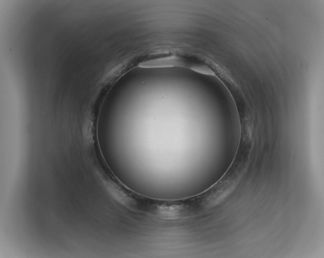 X0000112750450200908201421