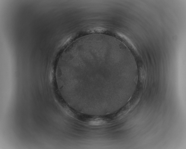 X0000112750451200908201421