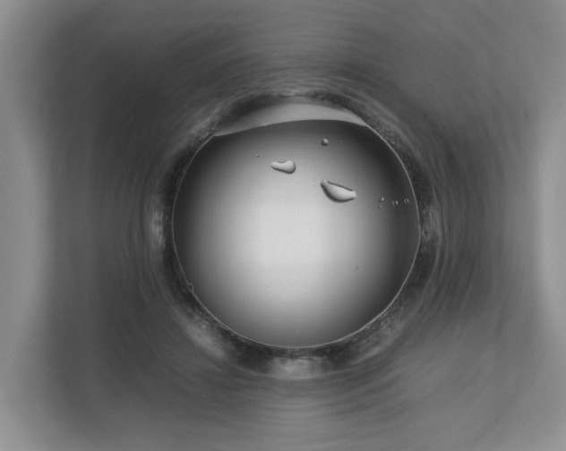 X0000112750452200908201421