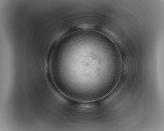 X0000112750453200908201421