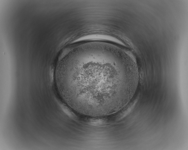 X0000112750454200908201421