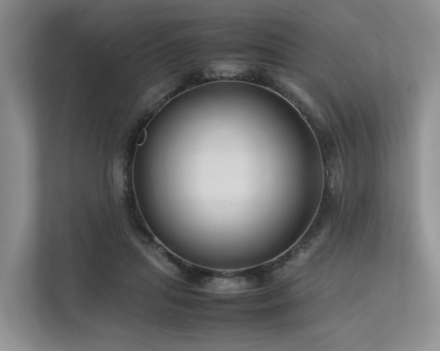 X0000112750455200908201421