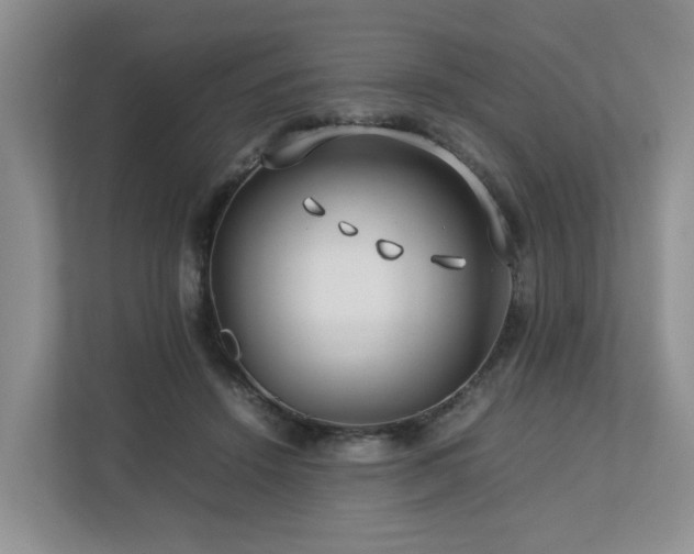 X0000112750456200908201421