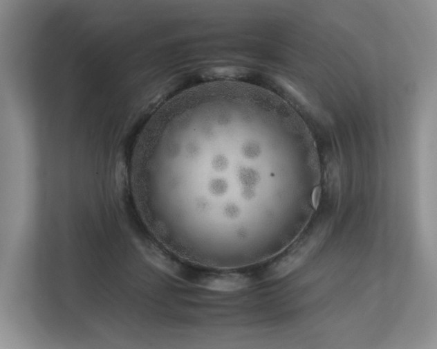 X0000112750459200908201421