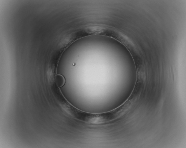 X0000112750460200908201421