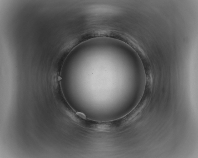 X0000112750462200908201421