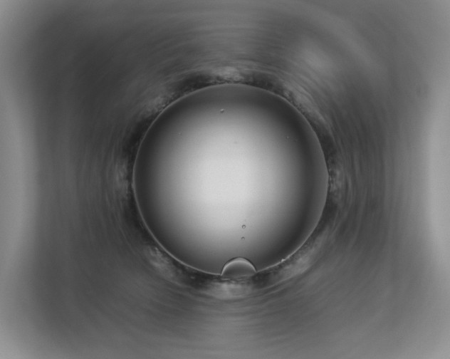 X0000112750466200908201421