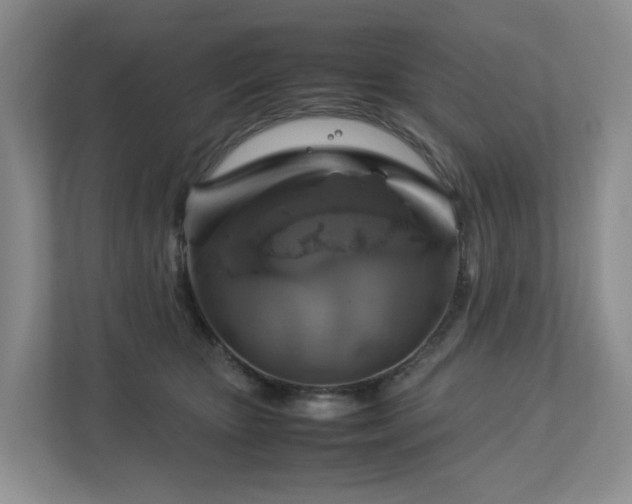 X0000112750467200908201421